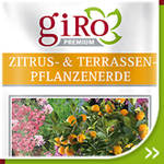 Giro Premium Zitrus- & Terrassen-Pflanzenerde