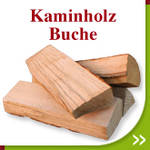 Kaminholz Buche