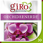 Orchideenerde