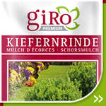 Kiefernrinde
