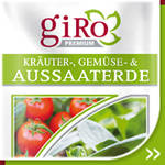 Kräuter