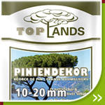 Piniendekor 10-20
