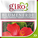 Blumenerde