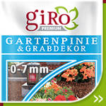 Gartenpinie & Grabdekor