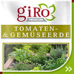 Gemüseerde