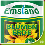 Blumenerde
