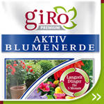 Aktiverde