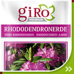 Rhododendronerde