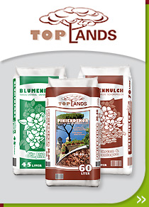 Top Lands